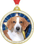 Sparkle Insert Medals