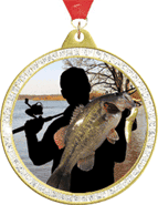 Sparkle Insert Medals