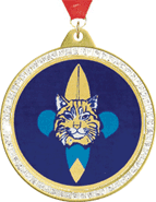 Sparkle Insert Medals