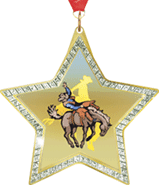 Star-Shaped Sparkle Insert Medal