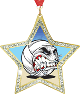 Star-Shaped Sparkle Insert Medal