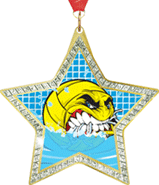 Star-Shaped Sparkle Insert Medal