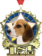 1st Place Star Frame Insert Medal