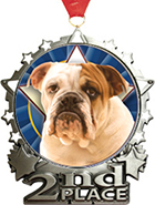2nd Place Star Frame Insert Medal