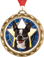 Spinning Insert Medals