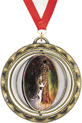 Spinning Insert Medals [2.75 inch]
