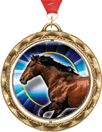 Spinning Insert Medals