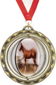 Spinning Insert Medals [2.75 inch]