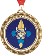 Spinning Insert Medals