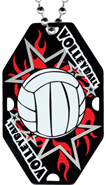 Volleyball Street Tag [2.5 x 1.5 inch]
