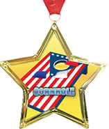 Star-Shaped Insert Medal