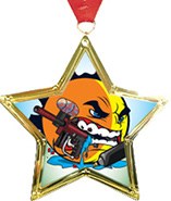 Star-Shaped Insert Medal
