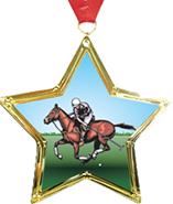 Star-Shaped Insert Medal
