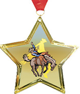 Star-Shaped Insert Medal