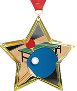 Star-Shaped Insert Medal