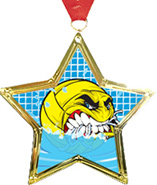 Star-Shaped Insert Medal