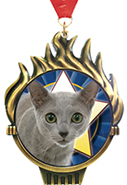 Torch Insert Medals [3.25 inch]