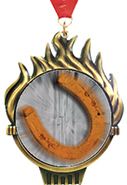 Torch Insert Medals [3.25 inch]