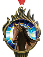Torch Insert Medals