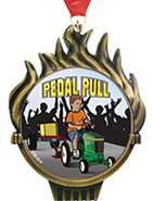 Torch Insert Medals