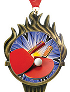 Torch Insert Medals