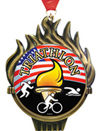 Torch Insert Medals