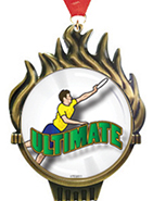 Torch Insert Medals