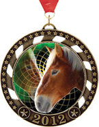 2012 Insert Medals [2.75 inch]