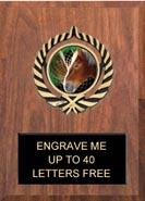 Plaque: Marbleized or Wood with Insert