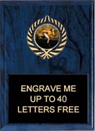 Insert Plaque [8 x 10 inch]