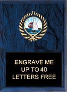 Insert Plaque [8 x 10 inch]