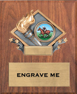 Victory Color Diamond Plaque