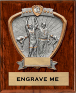 Wrestling Sport Legend Shield Plaque [9 x 12]