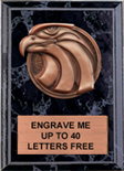 Eagle Bronze Resin Plaque