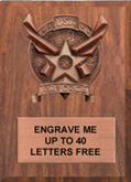 Air Force Bronze Resin Plaque