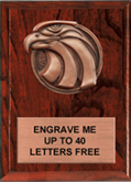 Eagle Bronze Resin Plaque