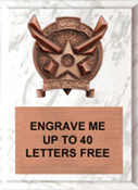 Air Force Bronze Resin Plaque