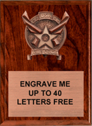 Air Force Bronze Resin Plaque