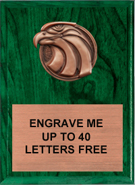 Eagle Bronze Resin Plaque