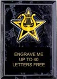 Music Color Star Plaque