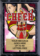 Full Color Plaques