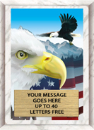 Full Color Plaques