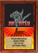 Full Color Plaques