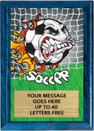 Full Color Plaques