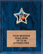 Glitter Star Plaque