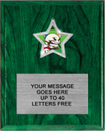 Glitter Star Plaque