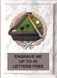 Billiards Millennium Plaque