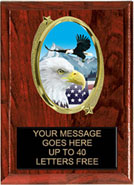Oval Insert Plaque