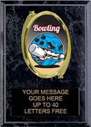 Oval Insert Plaque