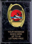 Oval Insert Plaque